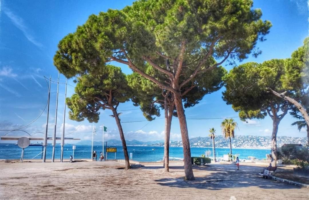 Splendide 3 Pieces Vue Mer Αντίμπ Εξωτερικό φωτογραφία